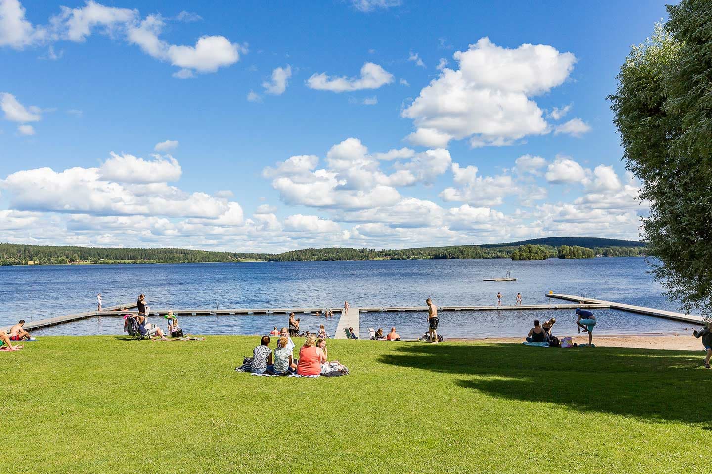 Hundvänlig camping på First Camp Nora – Bergslagen