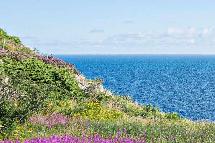 Vackra vyer från camping på västkusten. Välkommen till First Camp Mölle - Höganäs