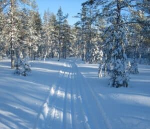 Hökensås vinter