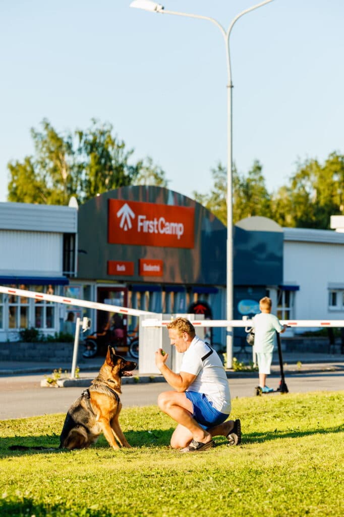 First Camp Björnäs - Boden är en hundvänlig camping