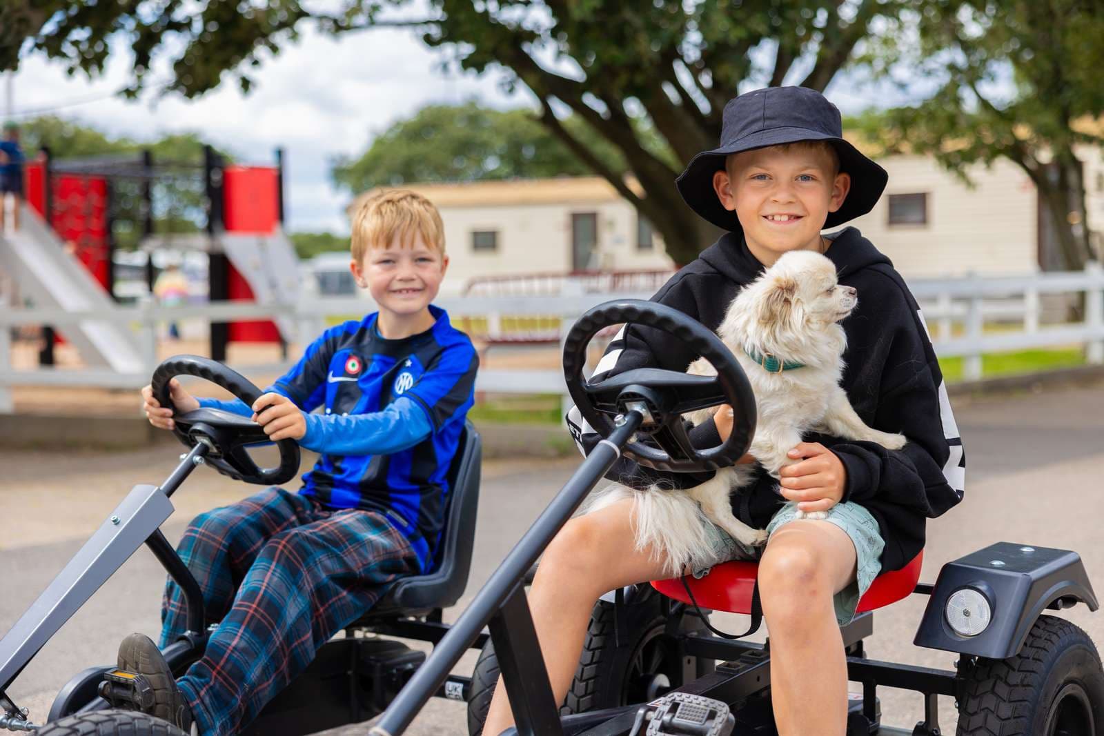 Hundsemester för dig som ska semestra med hund! Aktiviteter för både barn och hundar på våra campingplatser.